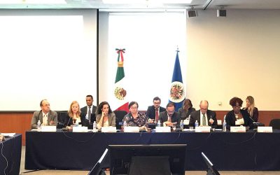 Ana Figueroa expone en el Consejo Anual de CICAD/OEA en México
