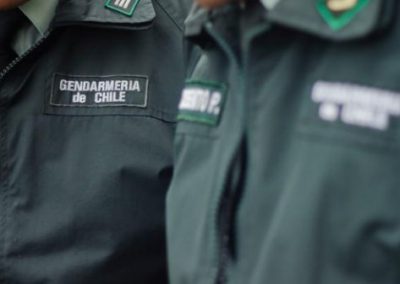 Plataforma integral para la gestión de información de Gendarmería en base al modelo RNR