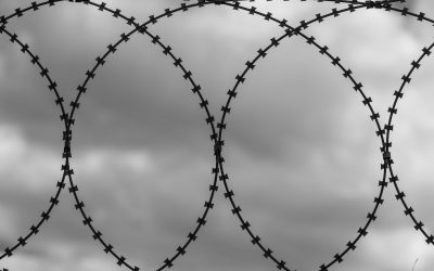 Victoria Osorio en Bio Bio web: «existe una noción de que la reinserción está más bien obstaculizando la función penitenciaria»